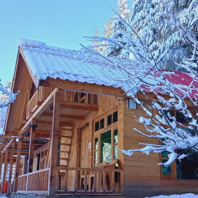 Himalayan Cedar Nest - Superior Chalet