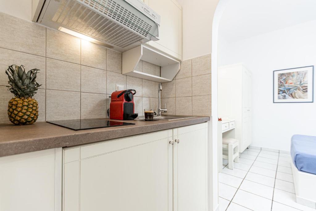 Kuchyň nebo kuchyňský kout v ubytování Zanneta Apartments & Suites