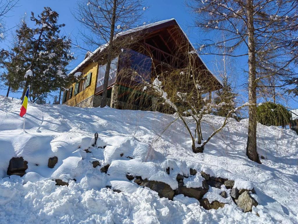 Cabana Aura Campulung Moldovenesc om vinteren
