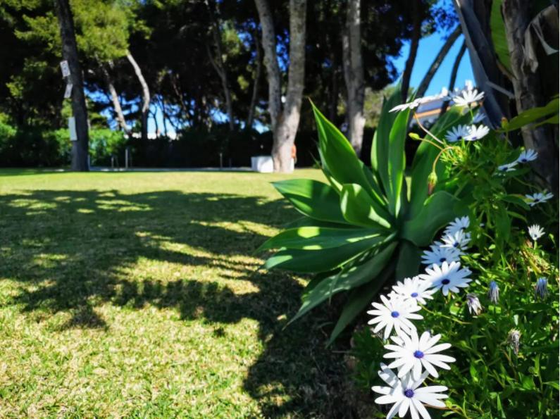 Vonkajšia záhrada v ubytovaní ¡NUEVO! Zona tranquila cerca de la playa de La Carihuela