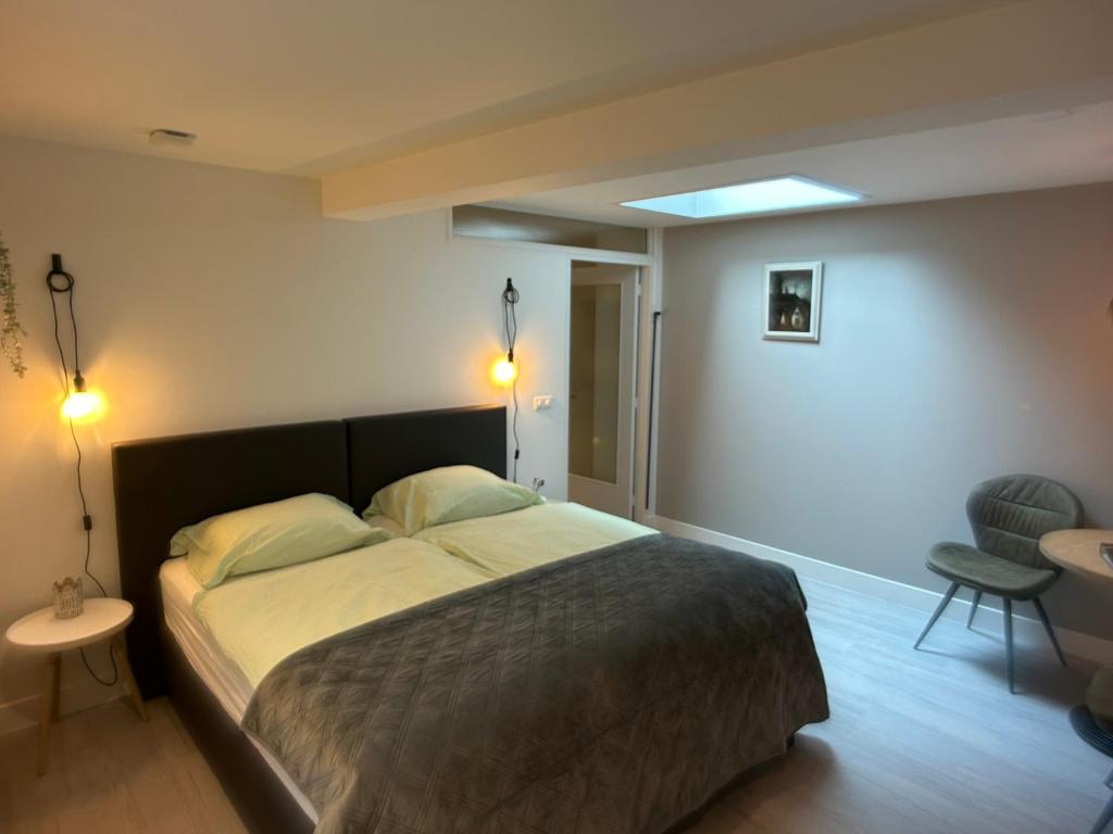 1 dormitorio con 1 cama grande y 2 almohadas en Studio Schipper, en Alkmaar