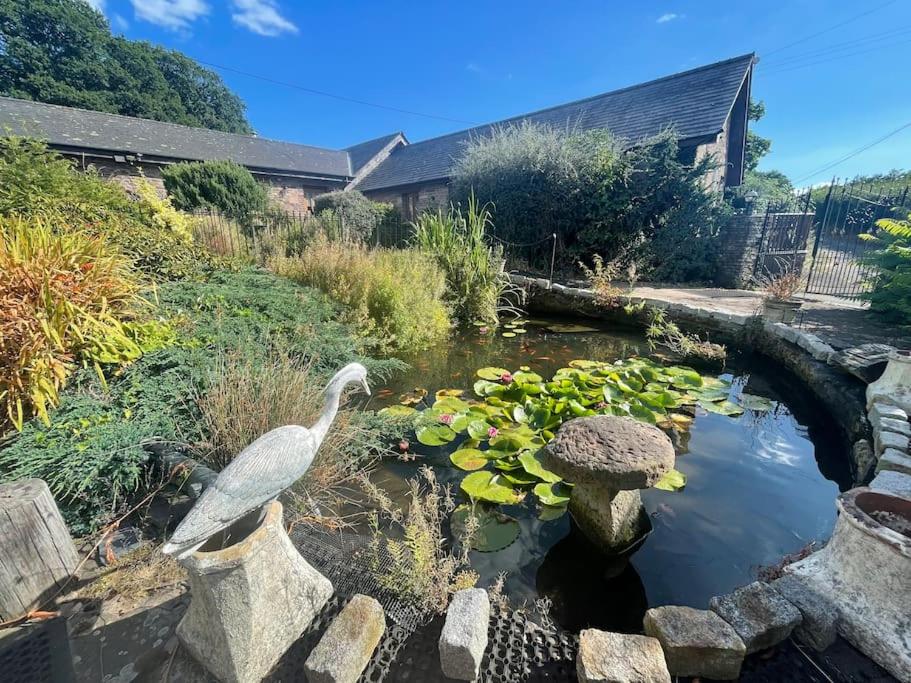 a pond with a white bird in a garden at STONE BUILT BARN in a beautiful RURAL setting in Llangwm-isaf