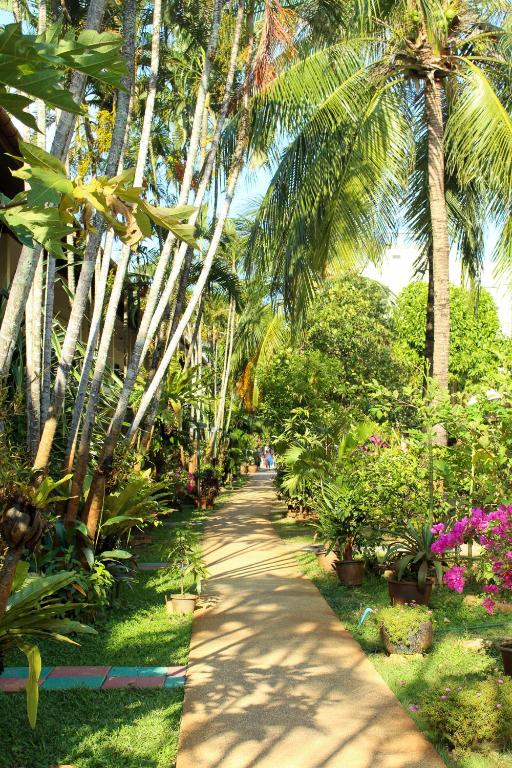 Zahrada ubytování Patong Palace Hotel - SHA Extra Plus