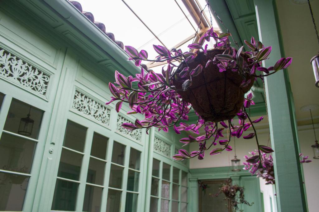 Fotografie z fotogalerie ubytování Hotel Casa de la Vega v destinaci Bogotá