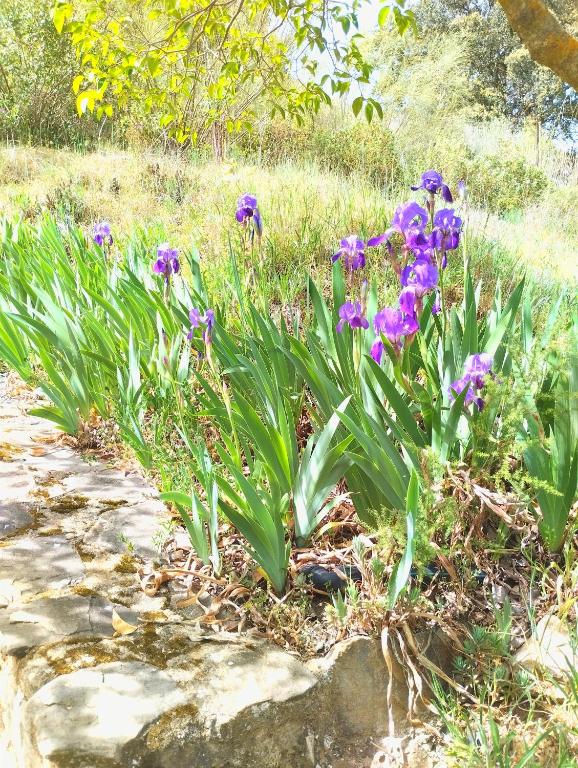 La Casita de Piedra - 2