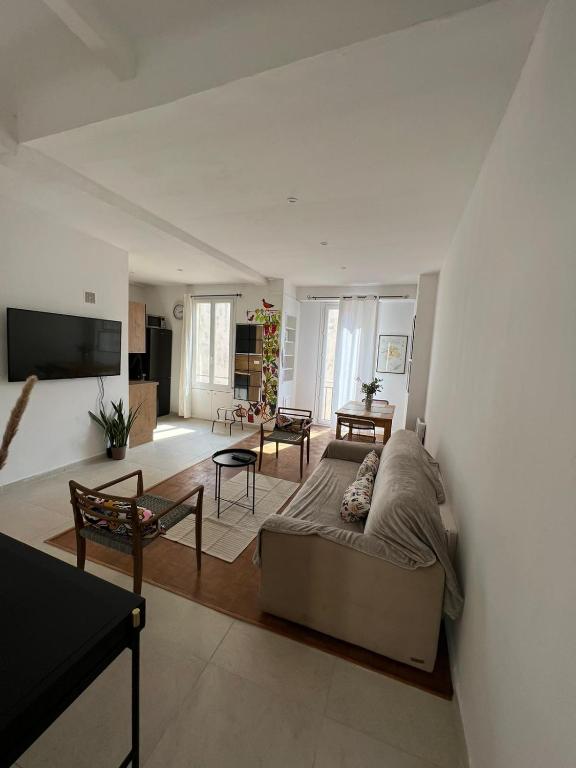 a large living room with a couch and a tv at Joli appartement d'artiste 44m2 in Nice
