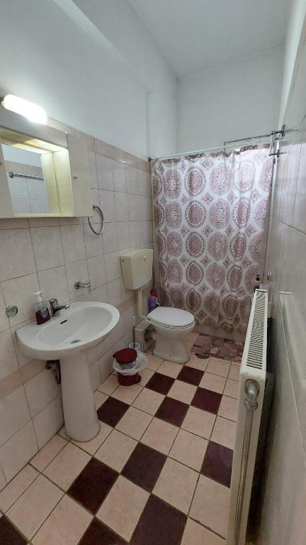 a bathroom with a sink and a toilet at Efi Studio 4 Lamia in Lamía