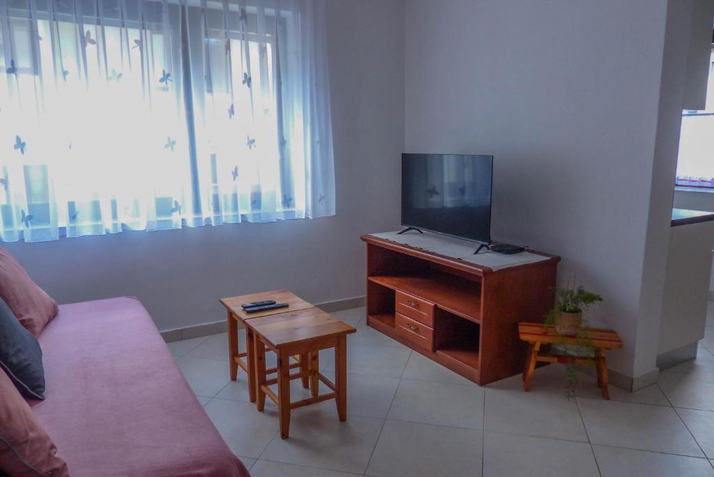TV a/nebo společenská místnost v ubytování Apartma Praprot
