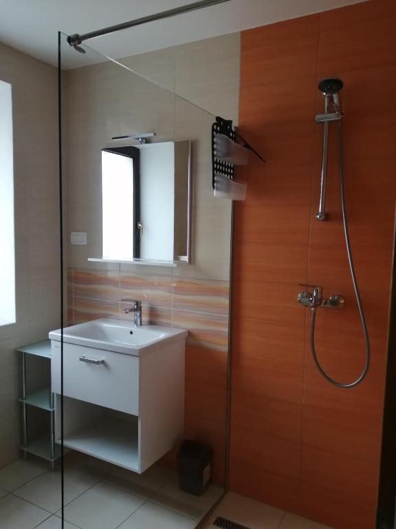 Koupelna v ubytování Apartma Praprot