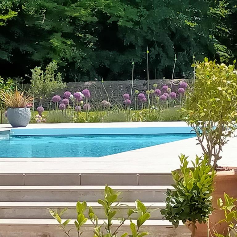 Bazén v ubytování Chateau de Heaas nebo v jeho okolí