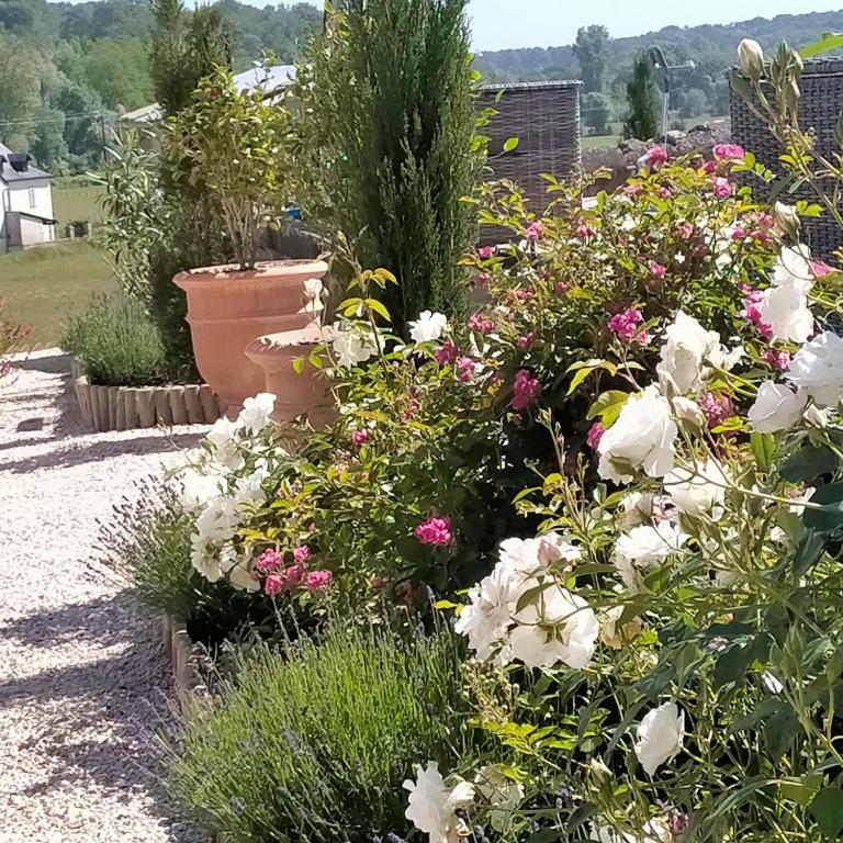 Zahrada ubytování Chateau de Heaas