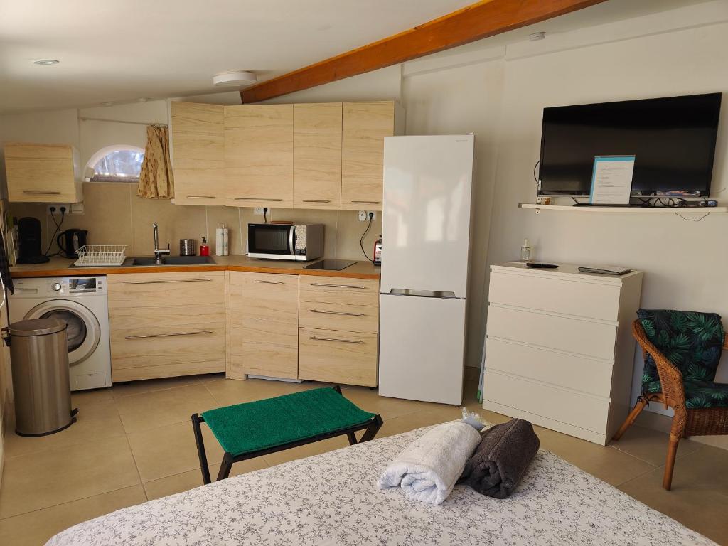 Petite étoile de Mer - Studio hyper équipé à 150m d'une plage de sable fin grande terrasse presqu'île de charme - Квартира с одной спальней