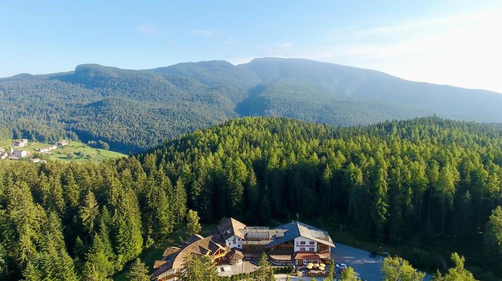 una vista aérea de una casa en medio de un bosque en Hotel Waldheim en Sarnonico