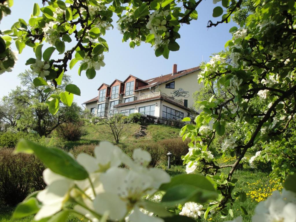 a house on top of a hill with trees at Landhotel BurgenBlick Garni & Tagungshotel in Erfurt