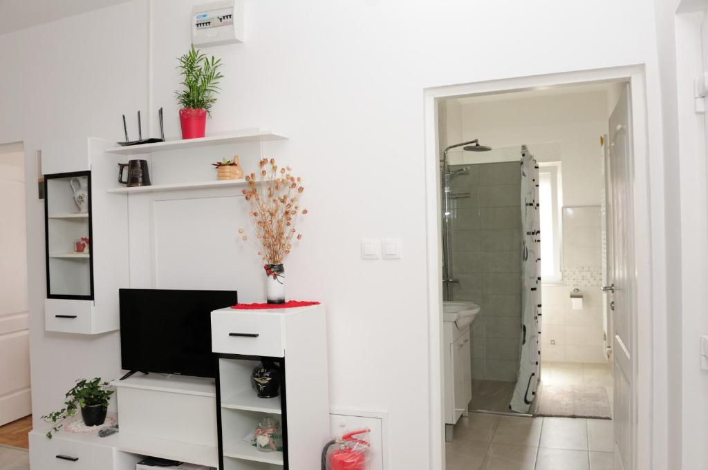 Kúpeľňa v ubytovaní Apartman Noa 16