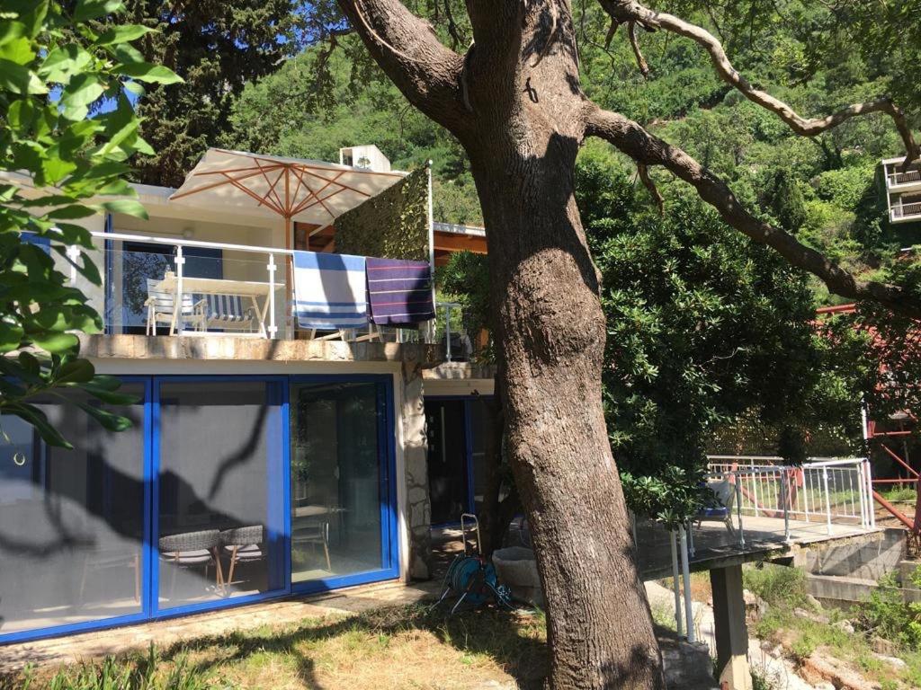 a house with a tree in front of it at Mediterranean Beach House in Perazića Do