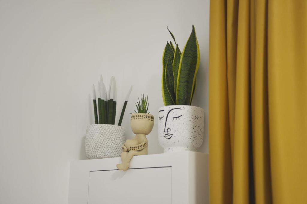 a shelf with three vases and plants on it at La Casa di Eva in Brindisi