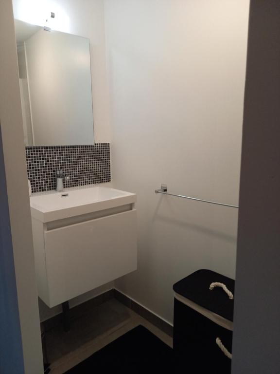 La salle de bains blanche est pourvue d'un lavabo et d'un miroir. dans l'établissement Appartement en aveyron, à Aubin