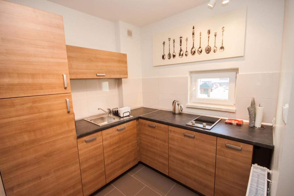 Kuchyň nebo kuchyňský kout v ubytování Apartamenty Przy Świerku