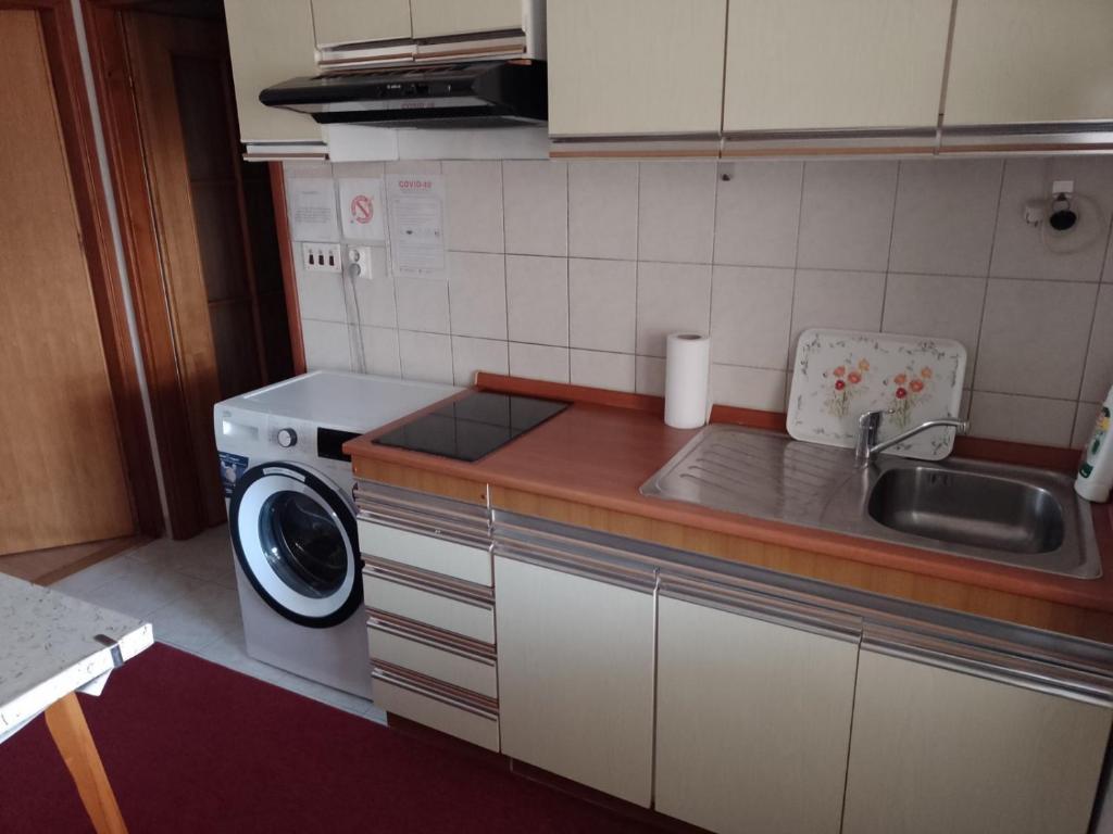 eine Küche mit einer Spüle und einer Waschmaschine in der Unterkunft Studio apartman Nina in Kraljevica