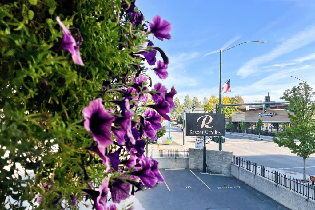 un cespuglio con fiori viola di fronte a un parcheggio di Resort City Inn Coeur d Alene a Coeur d'Alene