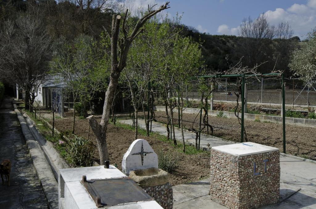 A garden outside Villa Frasquita