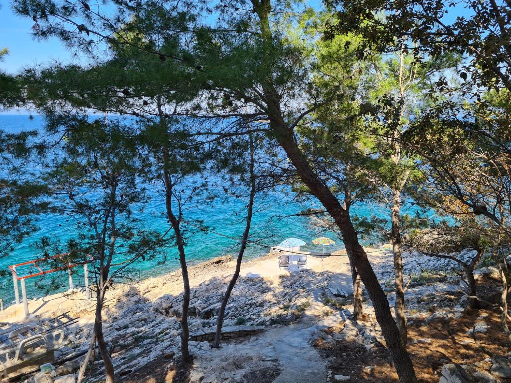 a view of a beach with trees and the ocean at Vila Elena in Prigradica