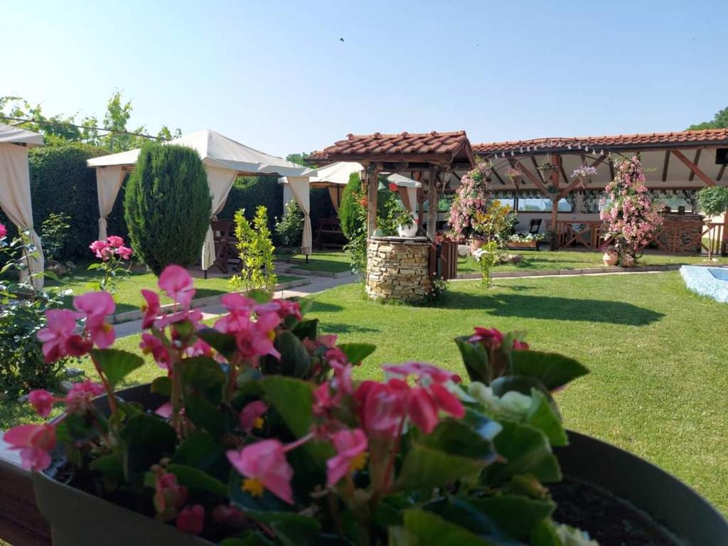 Zahrada ubytování Sharkov Family Hotel