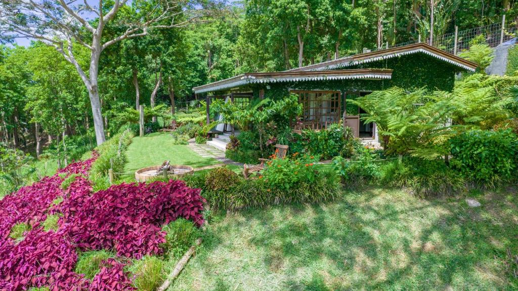 un jardín con flores púrpuras frente a una casa en Green Cottage Chamarel, en Chamarel