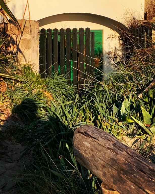 Vonkajšia záhrada v ubytovaní Casa delle dune