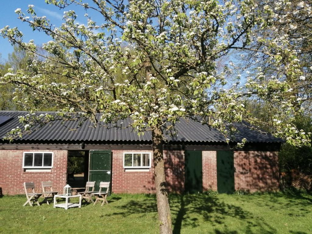 una casa de ladrillo rojo con un árbol en el patio en De Langenbrinck Eerlijk Heerlijk overnachten in blokhut en ingerichte tent, en Breedenbroek