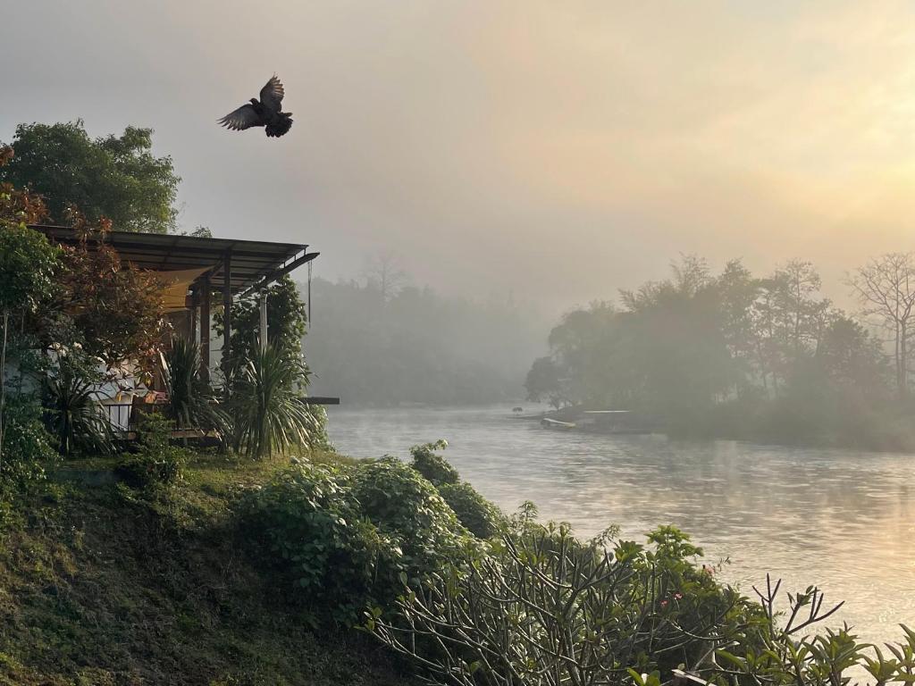 Un uccello che vola sopra un fiume con una casa di BaanRai KhunYa บ้านไร่คุณย่า a Sai Yok