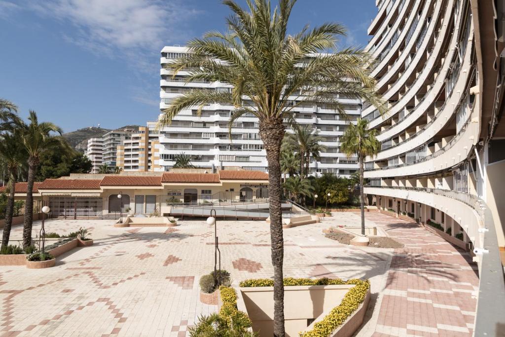 Florazar 2, Vi-1-C, Cullera – Updated 2023 Prices
