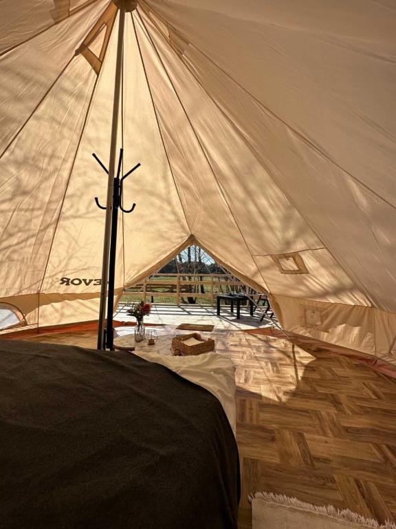 Fotografie z fotogalerie ubytování Brzozowisko Tuchomko - Glamping v destinaci Tuchomie