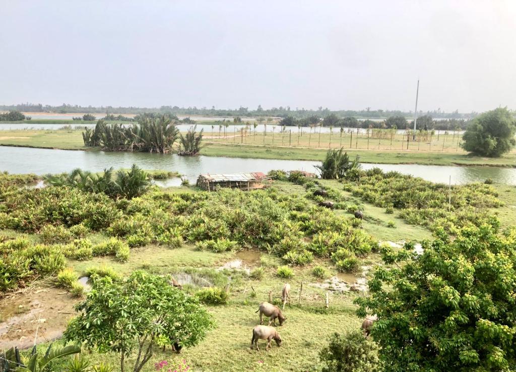 The Quin Riverside Villa - 18