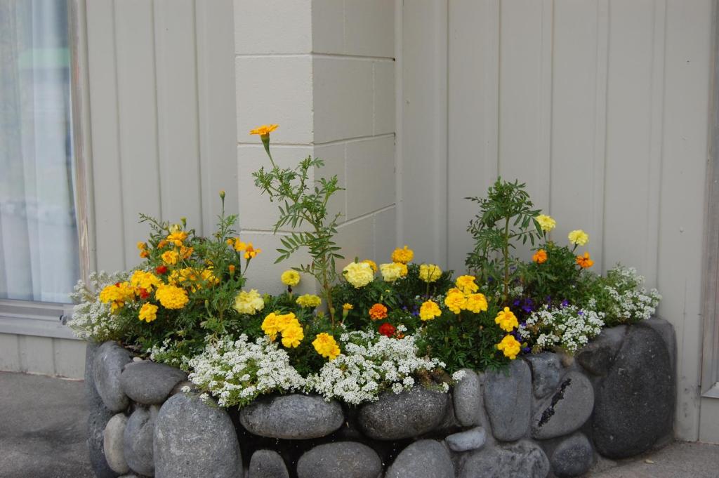 Tongariro River Motel - Resim 35