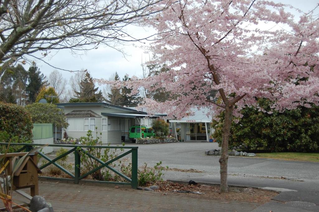 un árbol con flores rosas delante de una casa en Tongariro River Motel, en Turangi