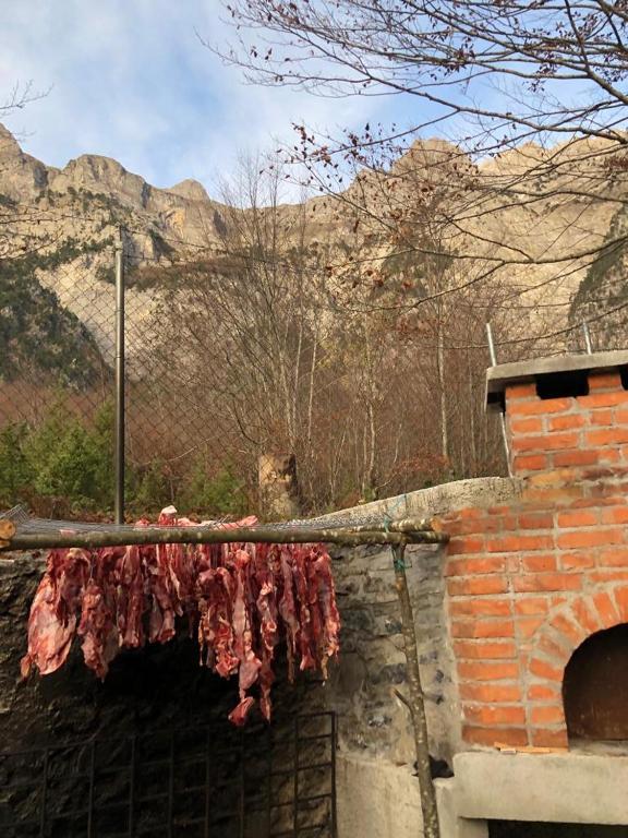 Paisatge natural a prop de l'hostal o pensió