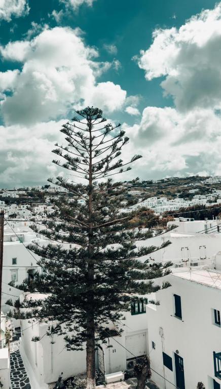 Fotografie z fotogalerie ubytování Alana Mykonos ve městě Mykonosu