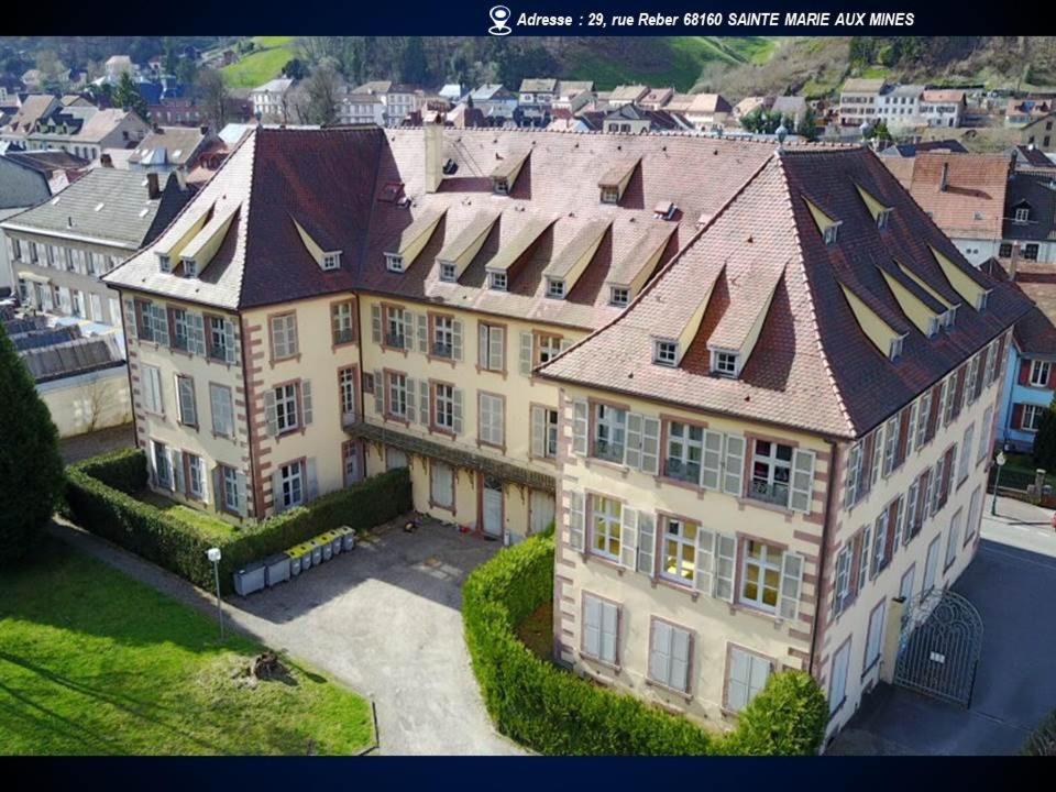 een luchtzicht op een groot huis met een dak bij Aux Souvenirs d'Anaëlle gîtes 5 personnes in Sainte-Marie-aux-Mines