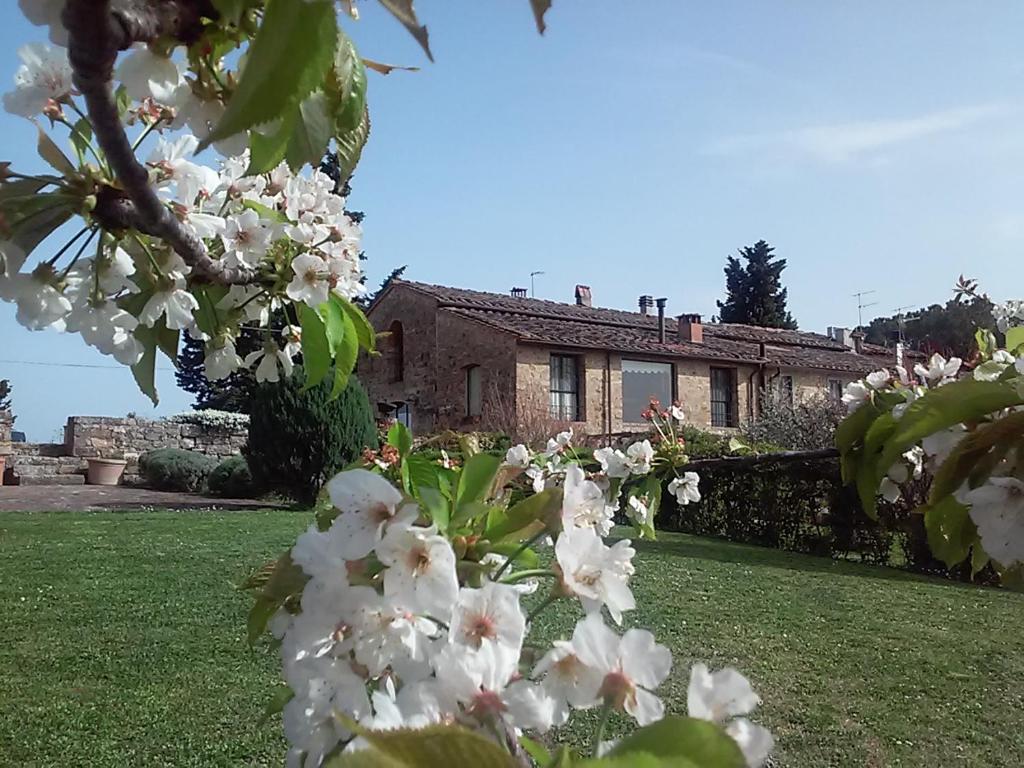 an apple tree with white flowers in front of a house at Torre Di Ponzano in Barberino di Val dʼElsa