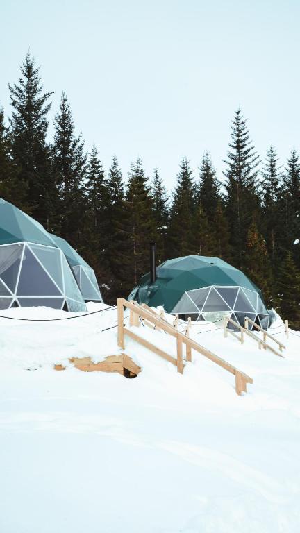 Golden Circle Domes - Glamping Experience v zimě