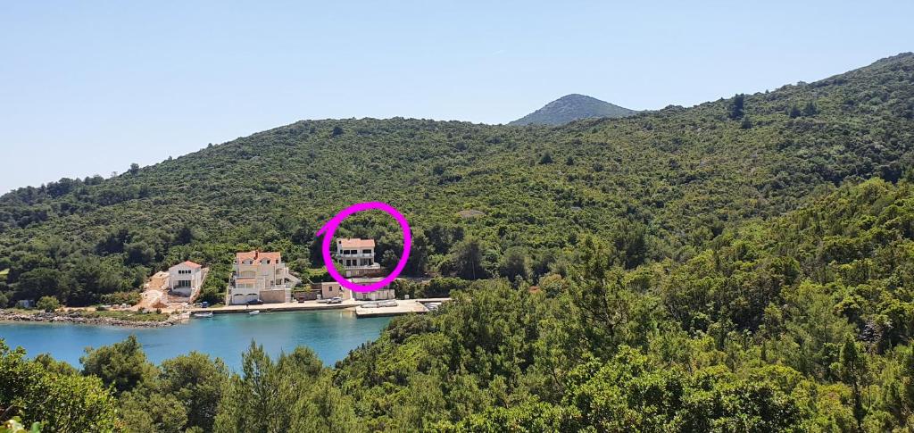 ein Haus mit einem rosa Kreis in der Mitte eines Sees in der Unterkunft Captain Ante's House in Dragove