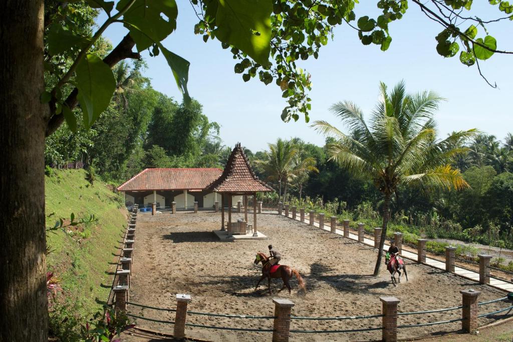 Hosté ubytování Plataran Borobudur