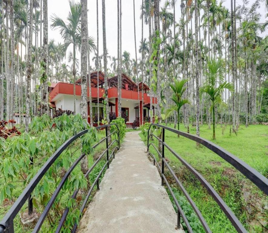 a house in the middle of a forest of palm trees at Lazo Areca Resort , Coorg in Madikeri