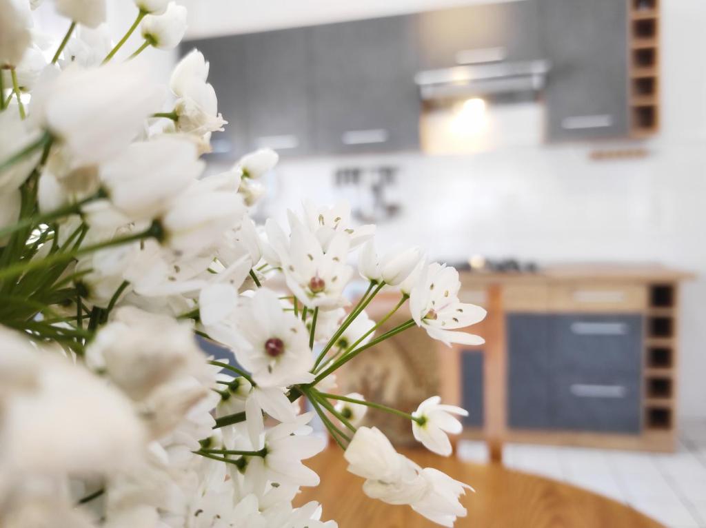 Nhà bếp/bếp nhỏ tại Apartment Ivy