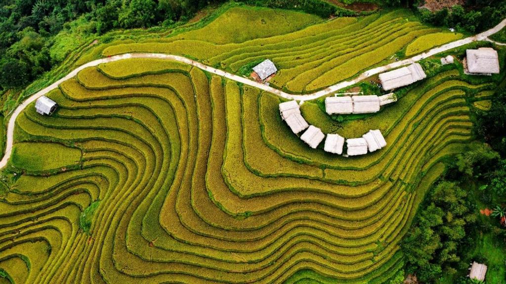 Hoang Su Phi