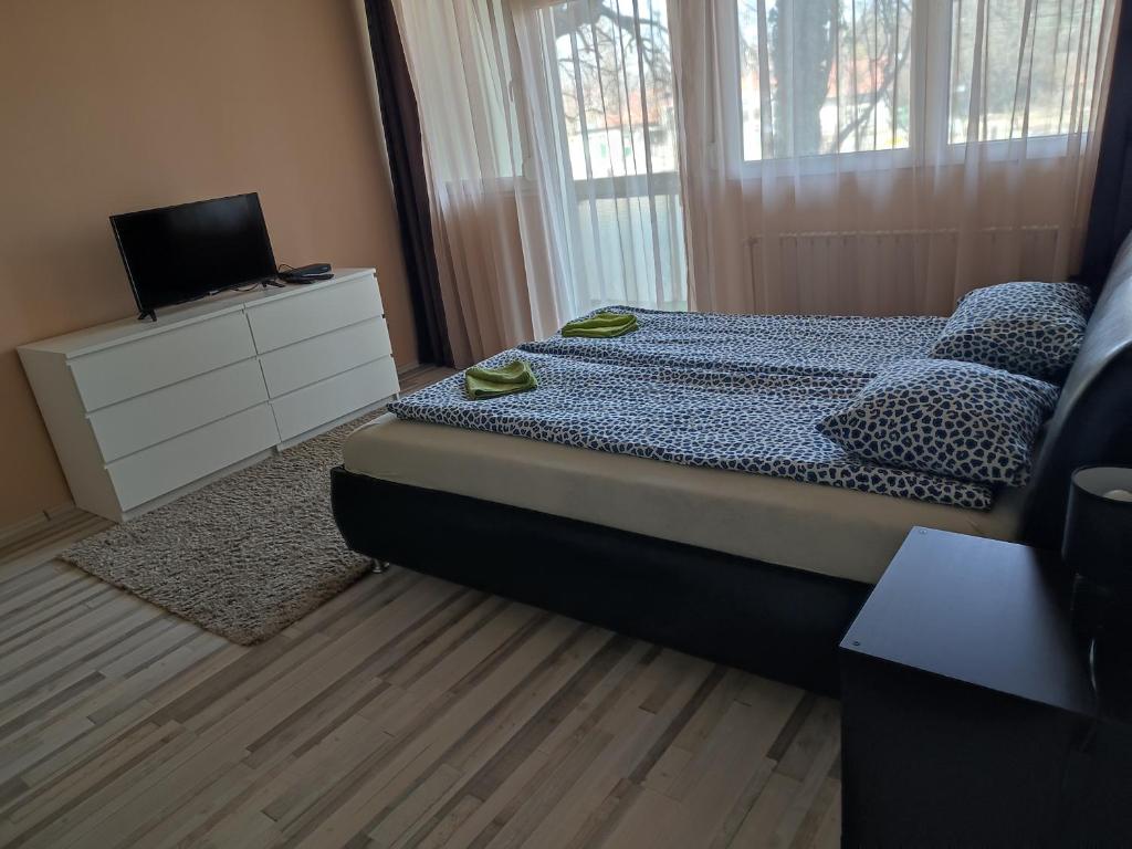 una camera con un letto e un comò con una televisione di Palota Apartman a Gödöllő