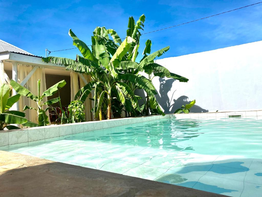 a swimming pool in front of a house with plants at Maisha Villa Nungwi in Banda Kuu