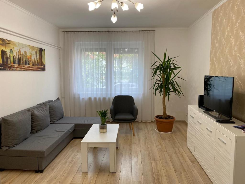 a living room with a couch and a tv at Peter Apartman in Szeged